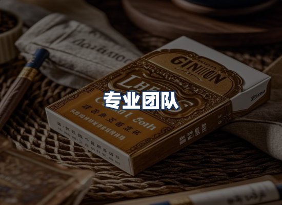 专业团队